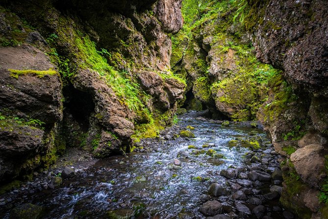 Private Thorsmork Super Jeep Tour - Stop 3: Thórsmörk Valley (Þórsmörk) for rivers, moss, and the Gigjökull effect