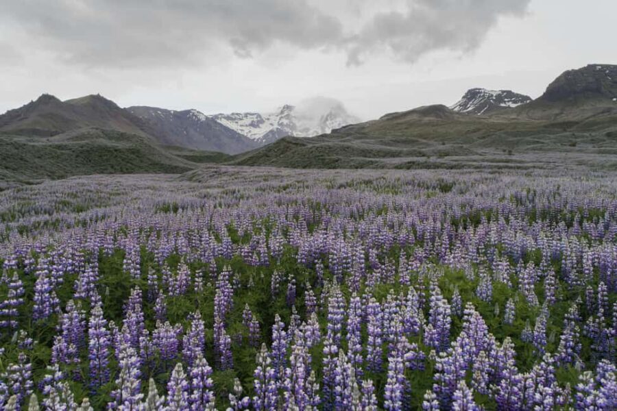 Private Tour to Landmannalaugar. Explore the Highlands - The long drive that’s part of the experience, not dead time