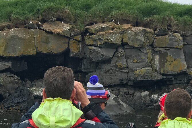Puffin Watching Speedboat Express - Price and value: is $76 worth it for a one-hour puffin sprint?