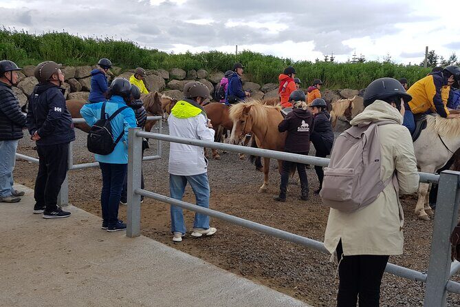 Red Lava Horse Riding Tour From Reykjavik - Heiðmörk Nature Reserve: 5,000-Year Volcano Territory