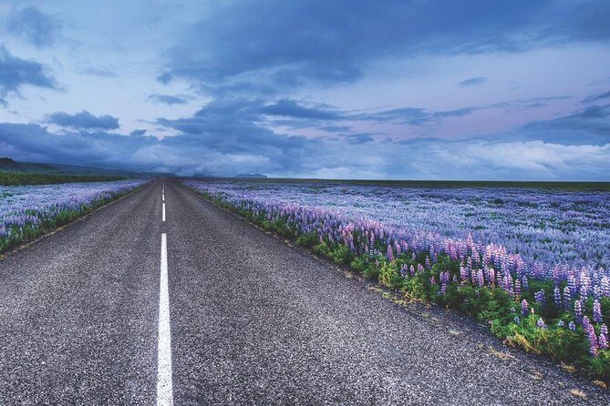 Rent Unlimited High Speed pocket Wifi in Iceland - Should you choose pocket WiFi over relying on WiFi?