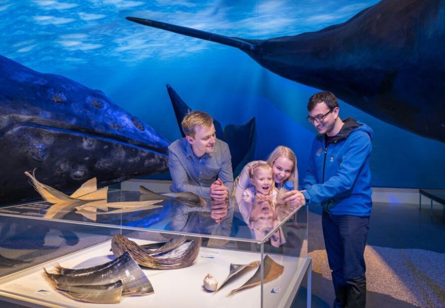 Reykjavik: 2-Hour Northern Lights by Boat with Backup Plan - Your Guide: Science, Myths, and Keeping the Wait From Dragging