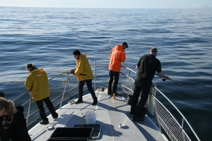 Reykjavik: 3-Hour Sea Angling Gourmet Experience Tour - From Hlésgata Harbour to the Faxaflói Fishing Grounds