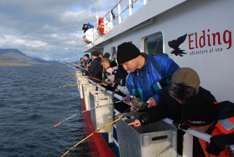 Reykjavik: 3-Hour Sea Angling Gourmet Experience Tour - Wildlife Along the Route: Puffins and Whales When the Sea Allows