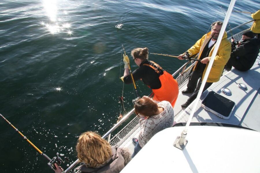 Reykjavik: 3-Hour Sea Angling Gourmet Experience Tour - Should You Book This Reykjavik Sea Angling BBQ Tour?