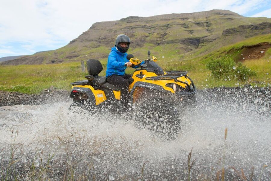 Reykjavik: ATV Ride & Whale Watching Boat Tour - Reykjavik Peak on quads: the 1-hour thrill ride and the payoff at the top