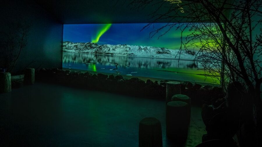 Reykjavik: Aurora Reykjavik The Northern Lights Center Entry - Cozy cinema: the 30-minute 4K Aurora film
