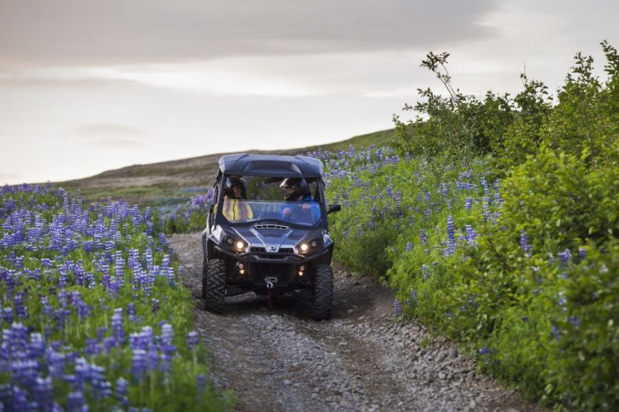 Reykjavik: Buggy Safari Tour with Hotel Transfers - Should you book this Reykjavik buggy safari?