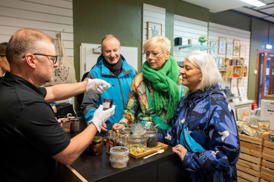 Reykjavik Christmas Walking Tour - What you’ll learn: Iceland’s Christmas cast beyond Santa