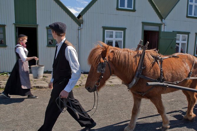 Reykjavik City Card 24-hour - Icelandic History Without the Museum Marathon