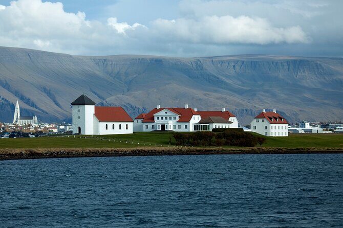 Reykjavik City Private Tour - Harpa Concert Hall: architecture with real cultural rhythm