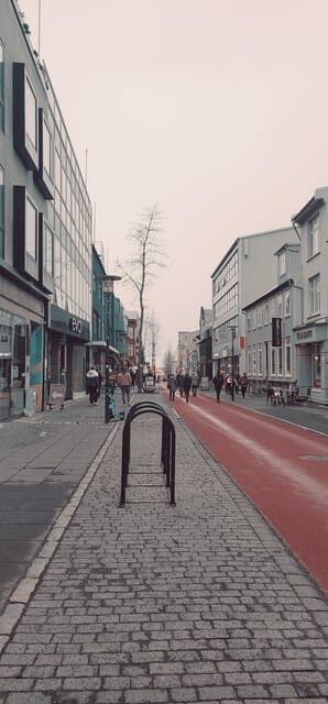 Reykjavik City Private Tour: Perlan, Arbaer & City Landmarks - Key things to know before you go