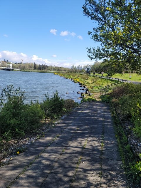 Reykjavik City Private Tour: Perlan, Arbaer & City Landmarks - Árbær Open Air Museum: learning everyday life through buildings you can walk into
