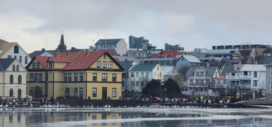 Reykjavik City Private Tour: Perlan, Arbaer & City Landmarks - Hallgrímskirkja: where your city day gets its skyline anchor