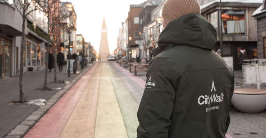 Reykjavik: City Walking tour in Small Group with Local Guide - Key things you’ll notice right away