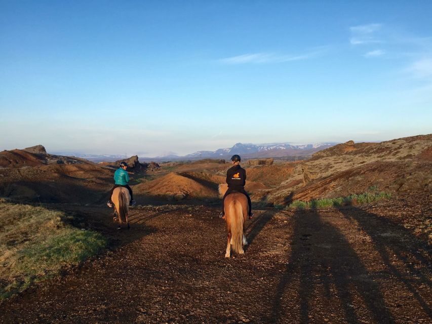 Reykjavik: Evening Sleipnir Horse Riding Tour with Pickup - Key Highlights You’ll Care About