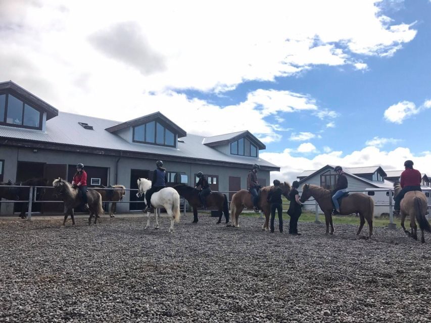 Reykjavik: Evening Sleipnir Horse Riding Tour with Pickup - Viking Horses Stables: Kleina, Hot Drinks, and Real Hospitality