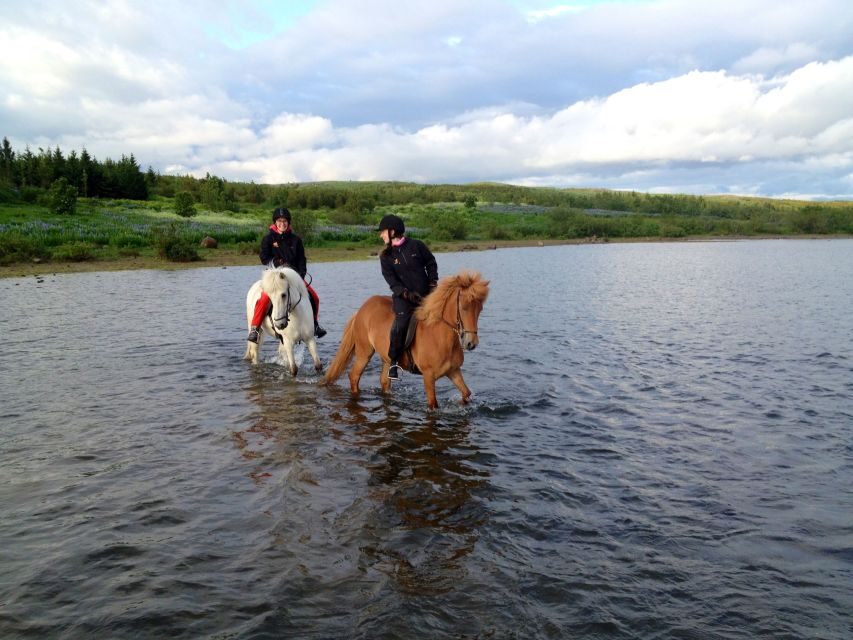 Reykjavik: Evening Sleipnir Horse Riding Tour with Pickup - What You Get for $202 (and Why It Can Be Good Value)