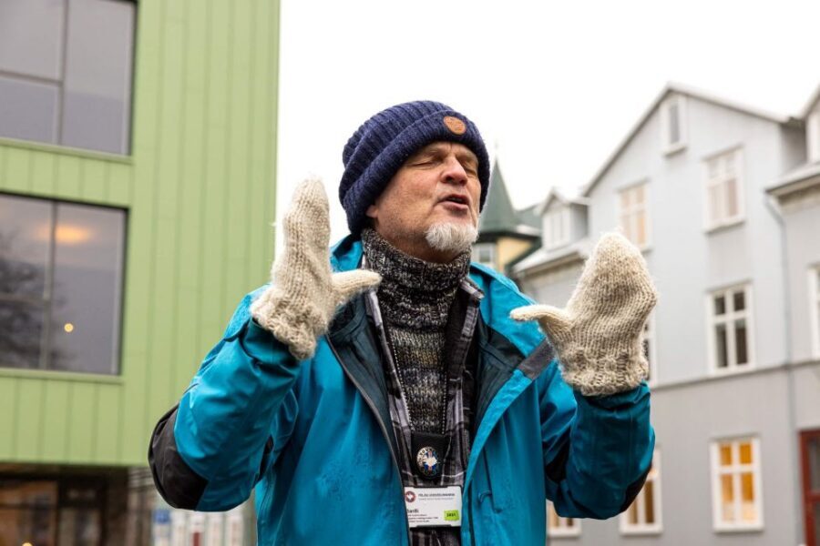 Reykjavik: Feline-Focused City Walking Tour - Key Highlights You’ll Care About