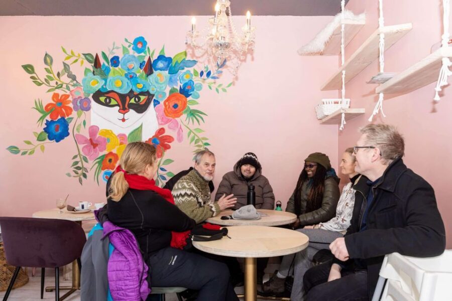 Reykjavik: Feline-Focused City Walking Tour - Price and Value: How $74 Makes Sense for a 2-Hour Route
