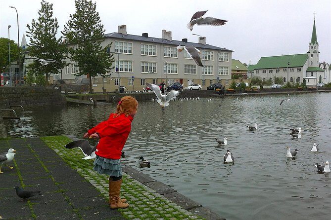 Reykjavik Food Tour and City Walk - PRIVATE TOUR - Price and Value: Is $325.30 Per Person Worth It?