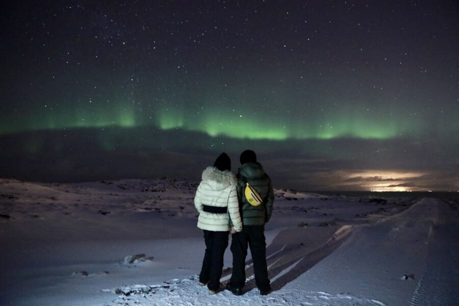 Reykjavík: Golden Circle, Blue Lagoon, and Aurora Tour - Should you book this Reykjavik Golden Circle plus Blue Lagoon plus Northern Lights tour?