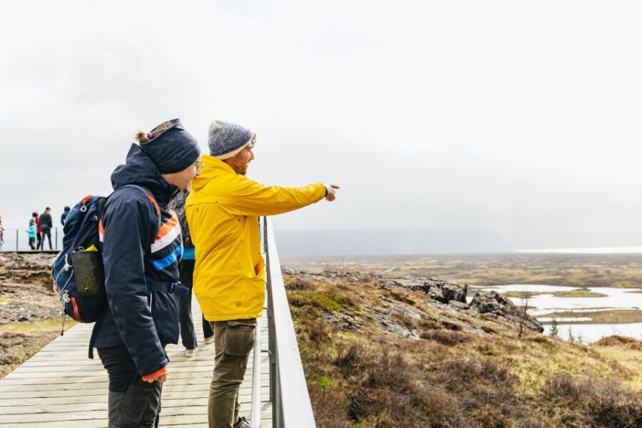 Reykjavik: Golden Circle, Crater & Blue Lagoon Minibus Tour - Blue Lagoon comfort package: included towel, mask, and your free drink