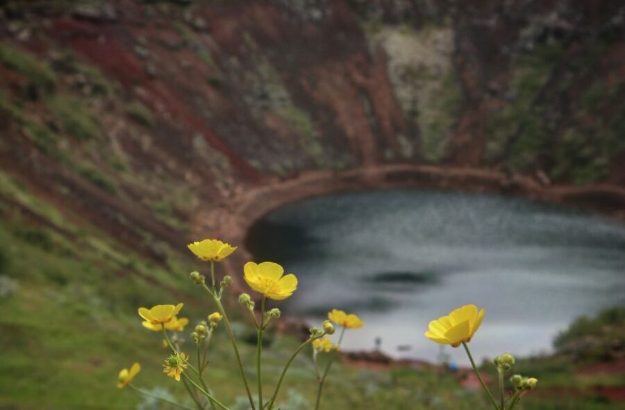 Reykjavík: Golden Circle Geological Jeep Day Trip - Price and Value: Is $233 Worth It?