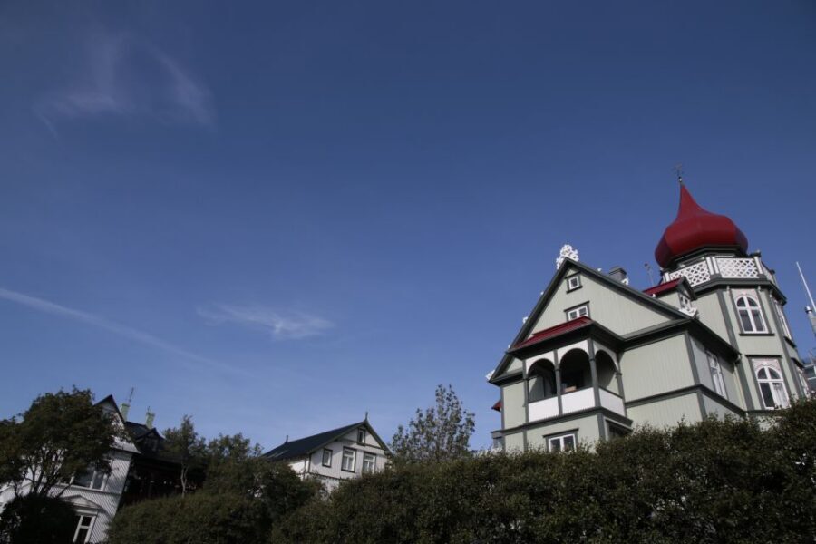 Reykjavik: Guided City Walking Tour - Laugavegur and Austurvöllur: center-city landmarks, paced sightseeing