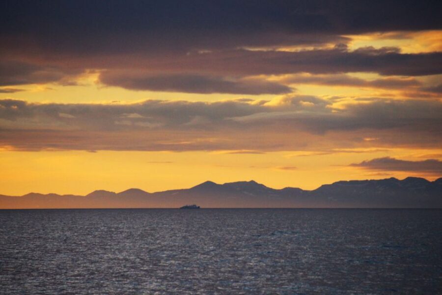 Reykjavík: Midnight Sun Whale Watching Cruise - Overalls, Layers, and Motion: Staying Comfortable on a Night Cruise