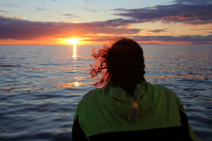 Reykjavík: Midnight Sun Whale Watching Cruise - Who This Cruise Is Best For (and Who Should Think Twice)
