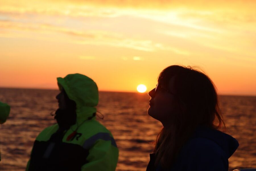 Reykjavík: Midnight Sun Whale Watching Cruise - How to Plan Your Evening Like a Local