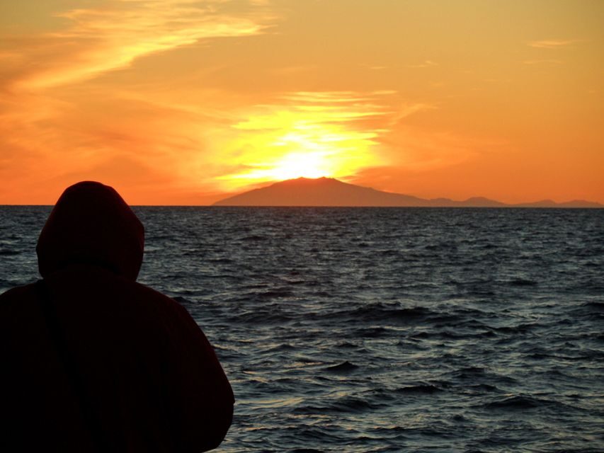Reykjavik: Midnight Sun Whale Watching Tour - Key things to know before you go