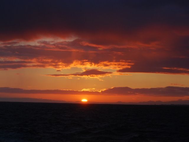 Reykjavik: Midnight Sun Whale Watching Tour - How the Crew and Marine Biologist Guides Make a Difference