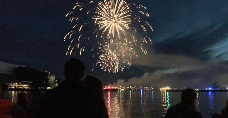 Reykjavik: New Year's Eve Fireworks Cruise - Quick hits before you go