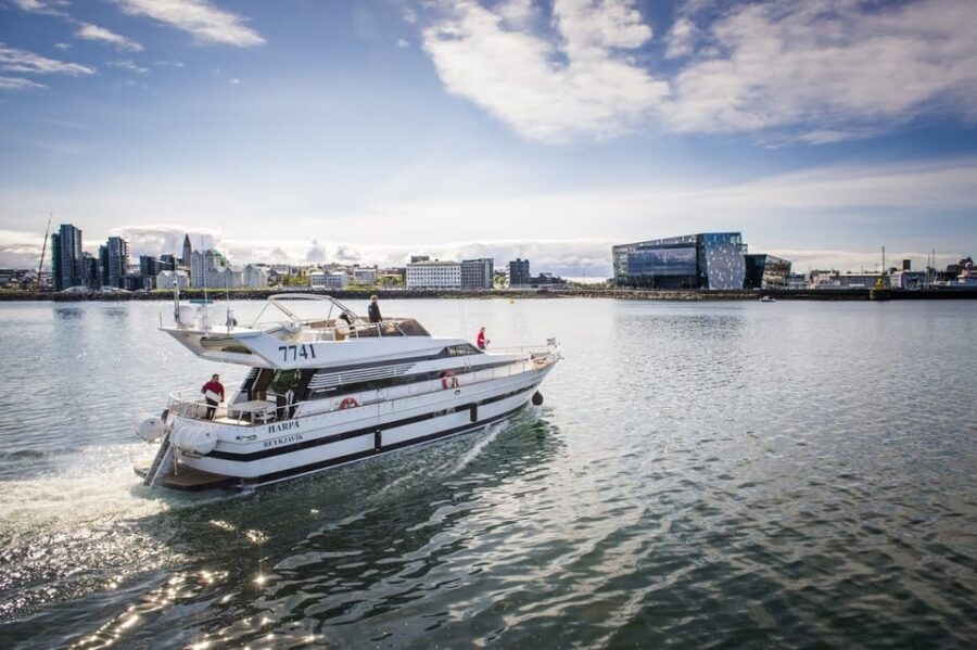 Reykjavík: New Year's Eve Northern Lights Yacht Cruise - From Reykjavík Harbor to Open Water: The 1.5-Hour Setup