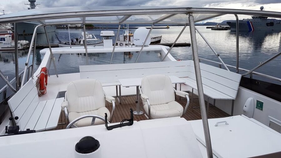 Reykjavík: New Year's Eve Northern Lights Yacht Cruise - Onboard Atmosphere and the Crew’s Role on Harpa Yachts