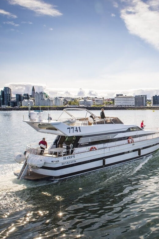 Reykjavík: New Year's Eve Northern Lights Yacht Cruise - Who Should Book This Cruise (and who should skip it)