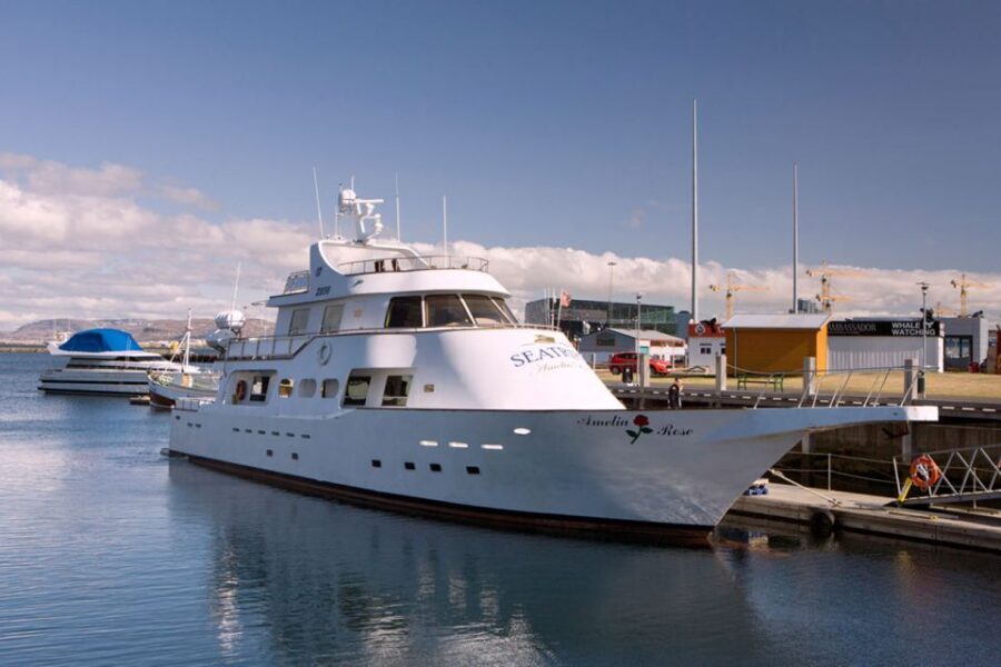 Reykjavik: New Years Fireworks Midnight Cruise - Champagne at Midnight: The Moment You’ll Remember