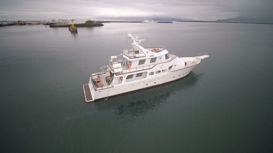 Reykjavik: New Years Fireworks Midnight Cruise - Costs and Value: Is $170 Worth It?