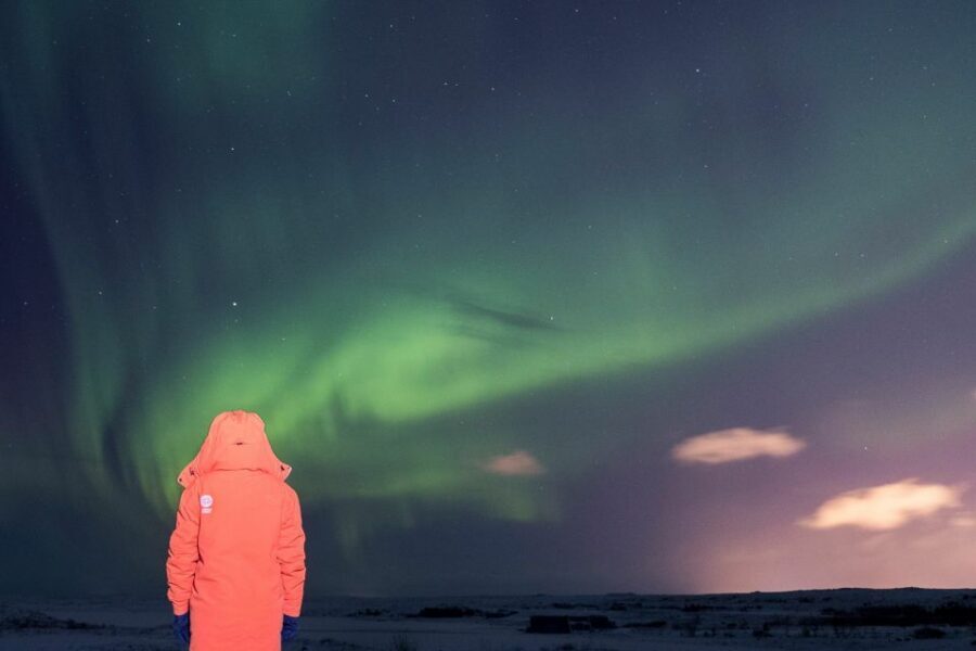 Reykjavik: Northern Lights Group Tour with Photos - Should you book this Reykjavik northern lights bus tour?
