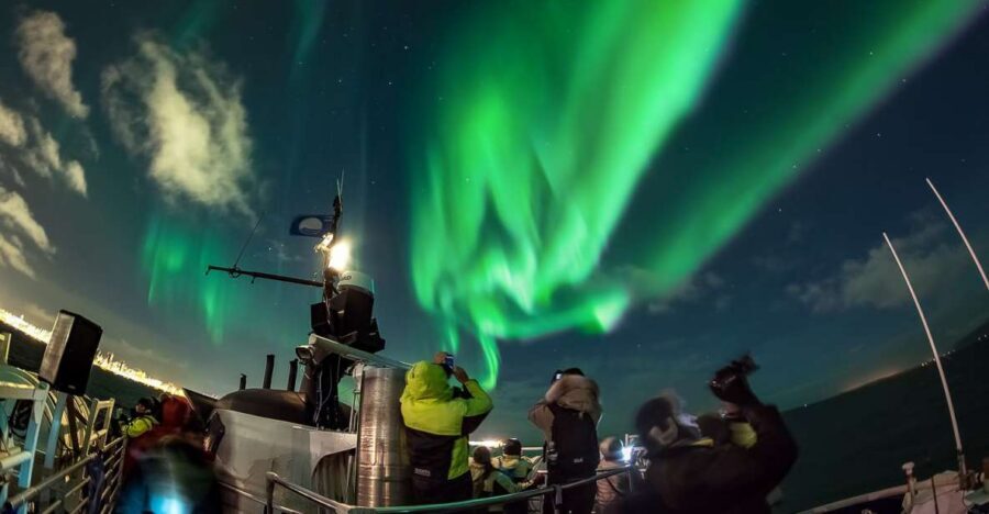 Reykjavik: Northern Lights Guided Boat Tour - Key Things to Know Before You Go