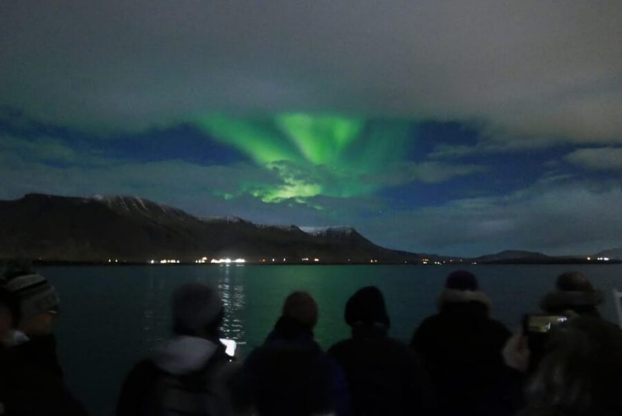Reykjavik: Northern Lights Guided Boat Tour with Photos - The first leg: coastal views while you get your bearings