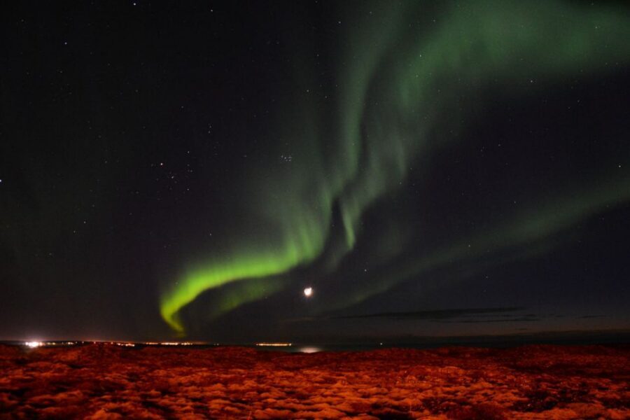 Reykjavik: Northern Lights Motor Yacht Cruise - Price and value: is $99 for 2.5 hours worth it?