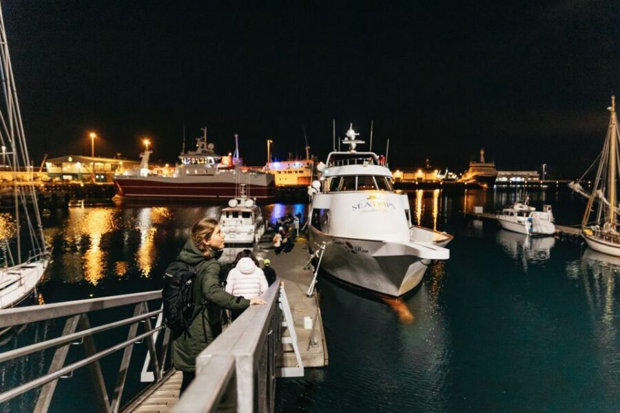 Reykjavik: Northern Lights Yacht Tour - Who This Tour Fits Best (And Who Might Want a Different Plan)
