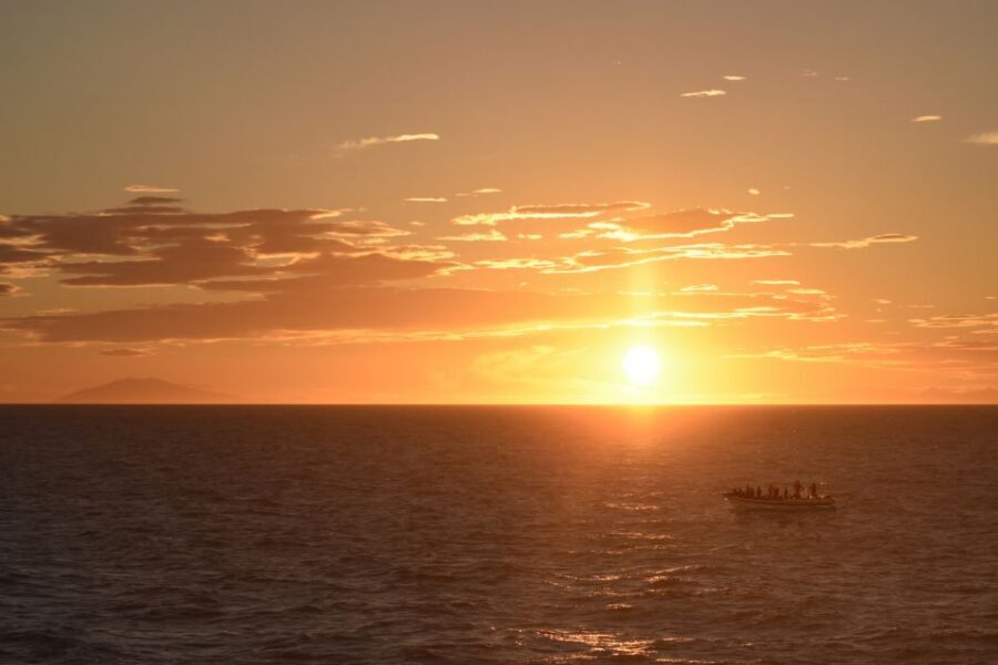 Reykjavik: Premium Whale and Puffin Watching Evening Tour - The RIB Speedboat Makes This Feel Like a Real Safari