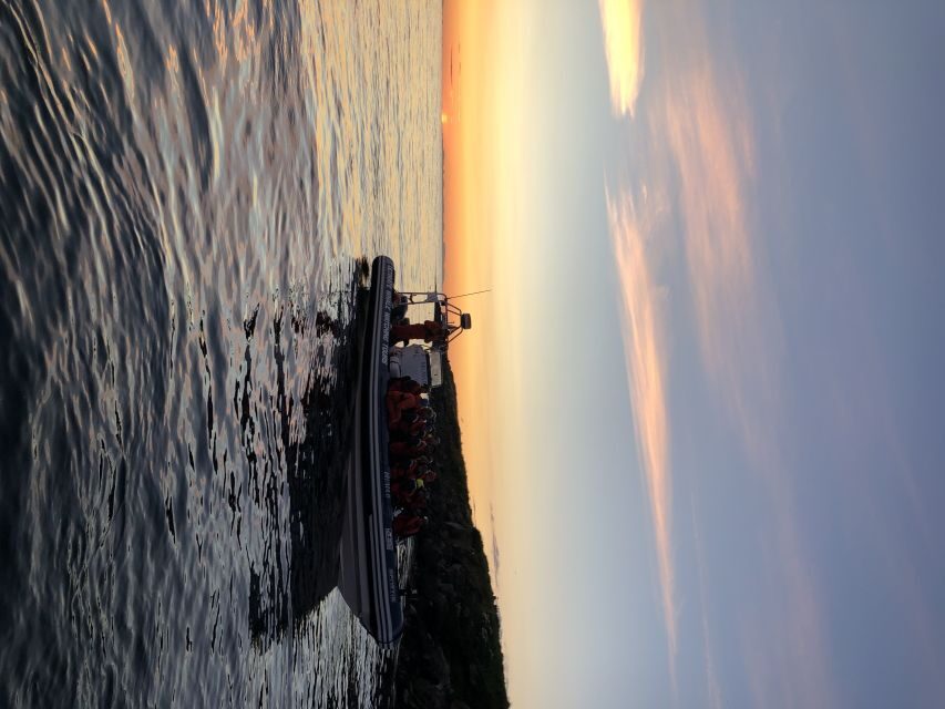 Reykjavik: Premium Whale and Puffin Watching Evening Tour - Meet the Guides: You’re in English, With Crew Focused on Wildlife