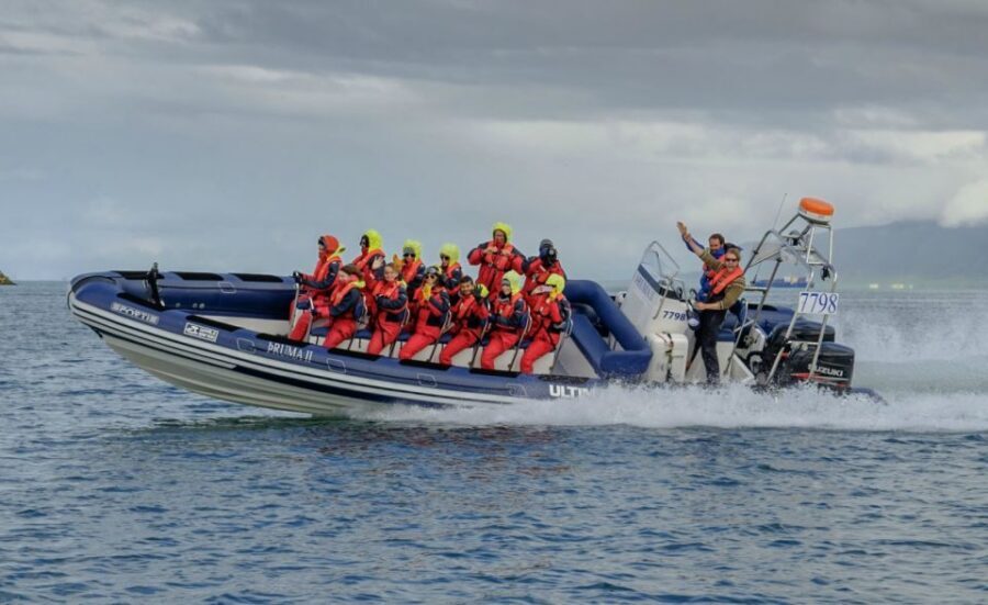 Reykjavik: Premium Whale Watching with Flexible Ticket - Where Faxaflói Bay Fits Into Your Reykjavík Days