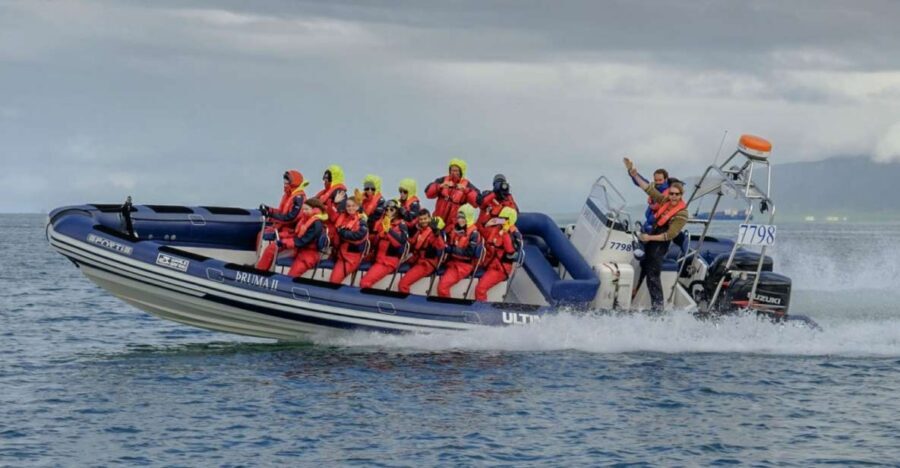 Reykjavik: Premium Whale Watching with Flexible Ticket - The RIB Speedboat Ride: Open-Air Thrills With Real Comfort