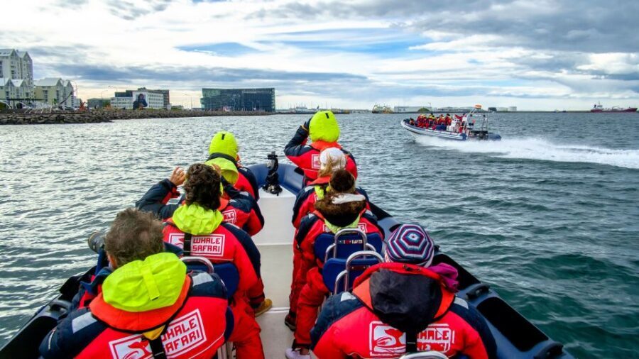 Reykjavik: Premium Whale Watching with Flexible Ticket - When You Don’t See Whales: A Real Backup Plan